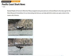 Randy Wright Horizons West Photography Great White Shark 2009