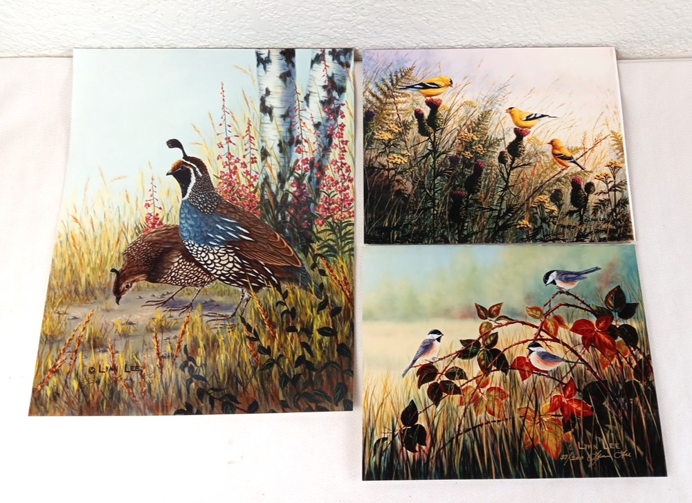 3 VTG Bird Photographs Pictures Signed, Limited Editions Quail Chickadee Nature
