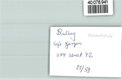 40078941 – 5584 Bullay Cafe Goergen