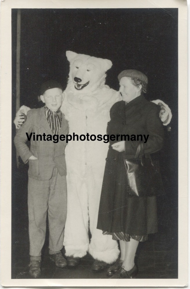 Z6035 Photo 1950s Leipzig Polar Bear Costume Polar Bear Icebear Bear
