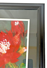 Epiphyllum or Orchid Cactus Brilliant Red Flower Photo Matted & Framed 13″Wx16″H