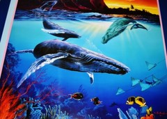 Wale Song poster heavy duty Hawaiian Pacific Marine «Christian Riese Lassen Wale
