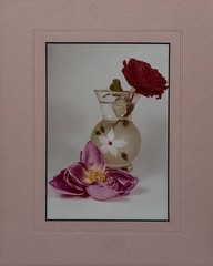 White Rose Vase & Red & Pink Roses Pink matte