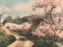 Wallace Nutting Hand-Colored Landscape Print, Decked as a Bride, Label Numbered