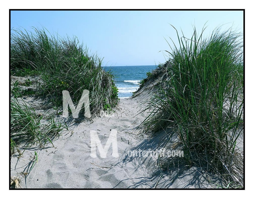 Ocean Dunes, fine art print 11×14 limited Edition 1/25 Moda Monterotti