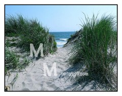 Ocean Dunes, fine art print 11×14 limited Edition 1/25 Moda Monterotti