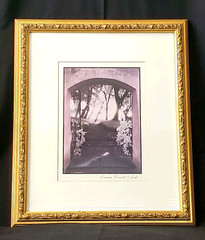 SANDRA RUSSELL CLARK (?) FRAMED/MATTED MONOCHROMATIC (PURPLE-TONES) GARDEN PHOTO