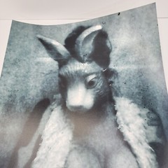 Signed Jenna Manson Horror Photography 11 X 17 BLACK AND WHITE BUNNY