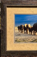 Thomas D. Mangelsen’s “The Long Journey” Limited Edition Signed Photo #293/1200