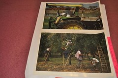 The Search for Food — Portfolio of 16 color photographs for Heinz | Jay Maisel