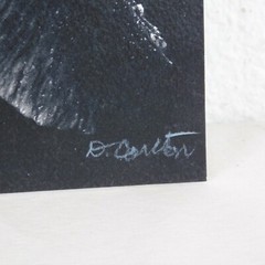Blooming Iris Black White Foam Mounted Signed D Carlton Photo Pacific NW Artist