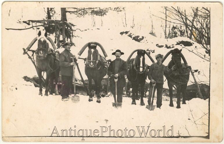 Men w shovels & horse carriages antique winter photo