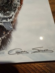 Gary Soles Signed «Tatanka» Bison/Buffalo Color metal Print portrait 8 x 12