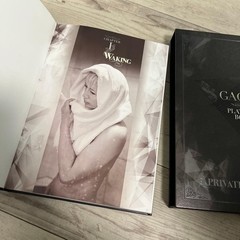 Malice Mizer Japan Book Kozi Yuki Gackt Platinum Book