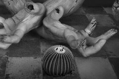 Dominic Rouse Fine Art Black & White Photograph Signed Ltd Edition Surreal Print