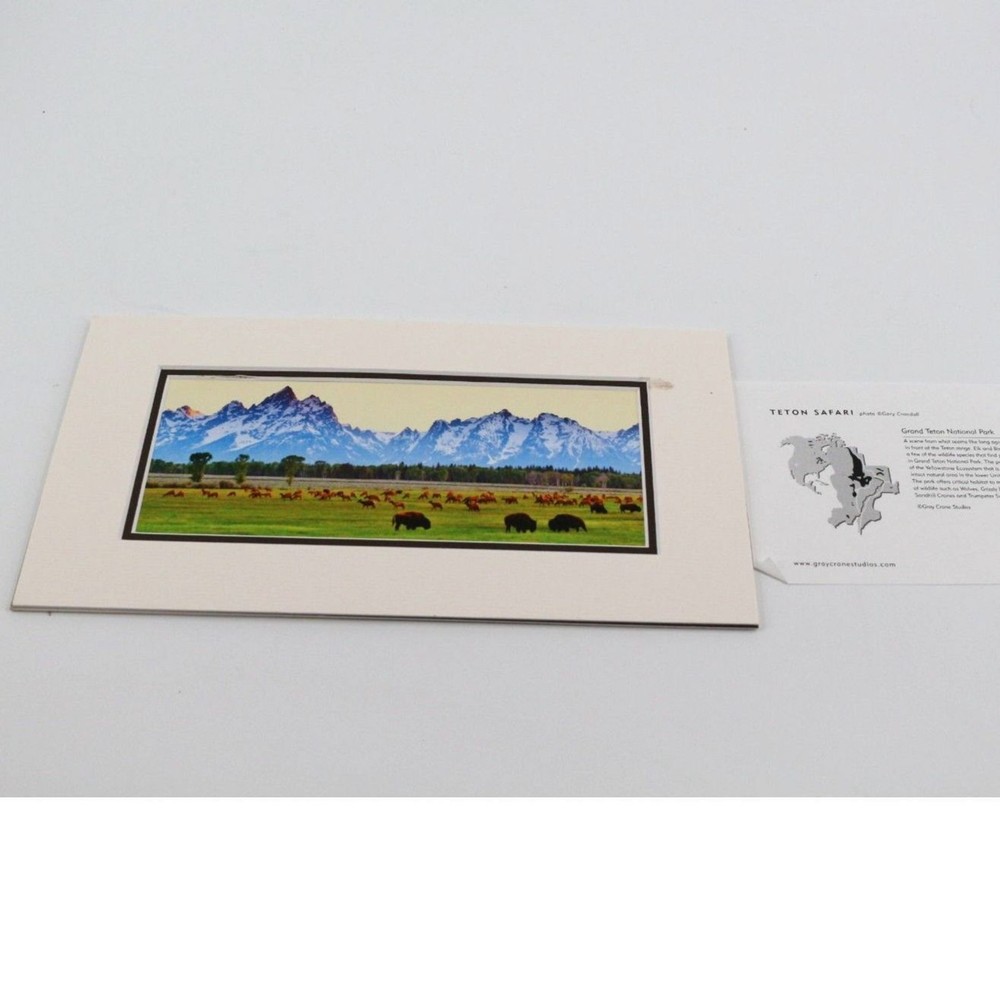 Gray Crane Studios Framed Canvas Art of Grand Teton National Park Safari Small