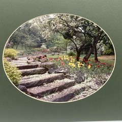 Matted Flower Garden Landscape Photo Print 11 X 14 Wall Art Gallery Decor