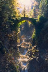 light between