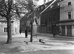by Eduard PEZDIKA, OLD Vienna, vintage fine art GLASS negative! 1925, 1920’s,