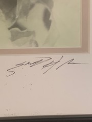 Signed Sepia Butterfly Nature Photograph – Close-Up Botanical Art Print