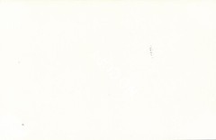 Photo pretty young woman nude art photographer unique around 1960 x175