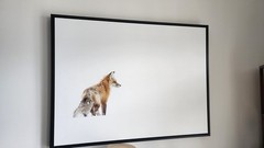 Red Fox in Yellowstone 40×30 inch Framed Canvas Wildlife Photography Print