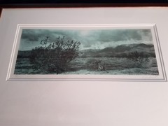 RARE DOUGLAS BUSCH MOUNTAINS TINTED FRAMED PHOTOGRAPH 1983 SIGNED