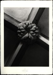 Hafner, Floral Architectural Ornament. (1973/2003). Signed Photograph.