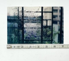 Marsha Burns 2001 Photography Show Announcement Card – Cowles Gallery