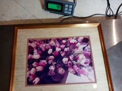 21×17 Vintage Art Photograph TULIPS BY JULIAN E. CARABALLO