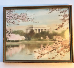 Vintage Hand Colored Original Photo Washington DC Cherry Blossoms DC Wood Frame