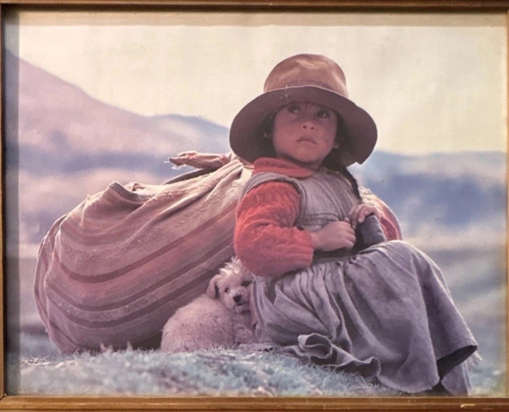 Vintage Child & Puppy Dog Art Print Framed Mountains Country Rustic Decor DAC