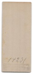 Photograph Hermann Tietz, Hamburg, size Burstan 12/14, lady in fine robe