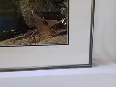 Untitled Framed Mountain Lake Landscape Photograph by Gary Carlson