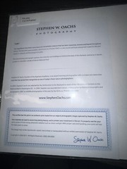 Photograph Signed By Award Winning Stephen W. Oachs LOBO TIMBER WOLF Wildlife