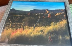 Photograph Of Desert In The Springtime Framed 15 1/2 X 12 1/2