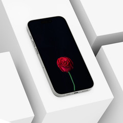 High-Resolution Floral Wallpapers Soft Natural Aesthetic Backgrounds for phones