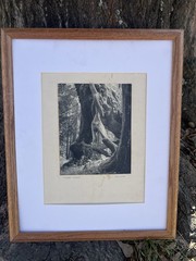 Original 40s Photo “ KNOBBY KNEES “ by Cartoonist Roy Wolfe