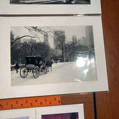 Alan Schein Memories New York Photo Lot NYC Central Park Times Square Flatiron