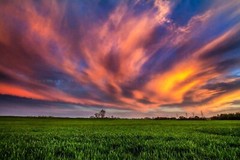 Sunset Photography Print: Oklahoma Copper Colored Clouds Sky Field Plains Photo
