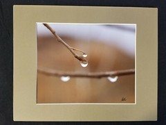 Signed Original Photograph by Photographer Wiley: 1980’s – in Plastic Box Frame