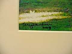 MATTED PHOTOGRAPHY Florida Everglades Tree by Larry Santucci Acid Free Art 16×20