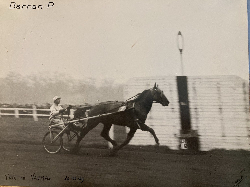 Original Horse Riding Course Photo 1949 Horse Barran Photo