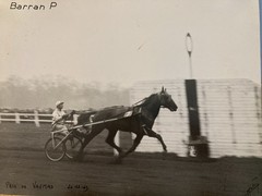 Original Horse Riding Course Photo 1949 Horse Barran Photo