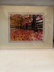 Shane Knight Signed & Numbered Photograph «Fallen» Napa, CA. Limited Ed. No 850