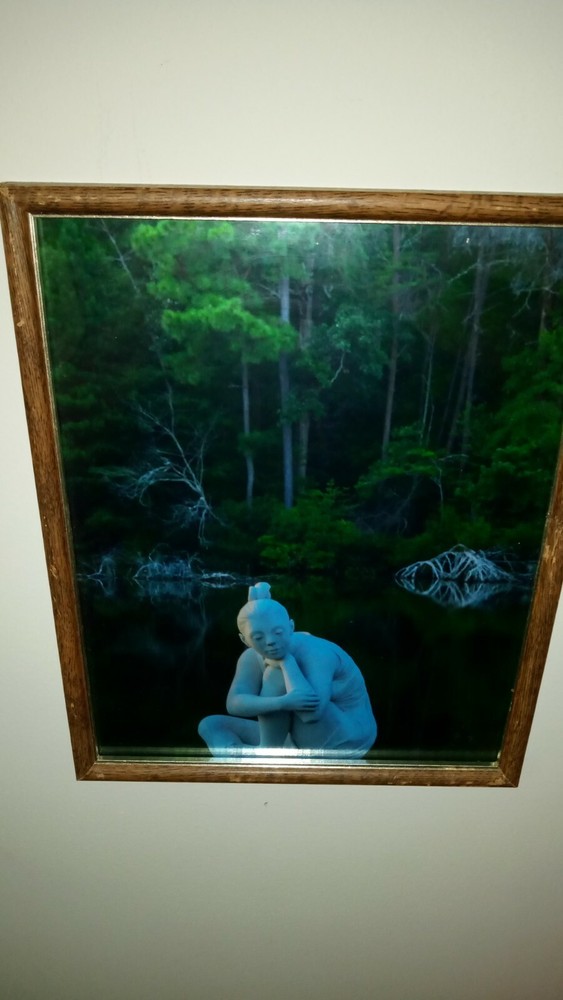  photography print noland trail lion’s bridge newport news hampton landscape art