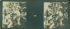 Org Antique Nude Real Photo- Double Stereoscope- 2 Women- Bow & Arrow- Outdoors