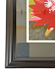 Epiphyllum or Orchid Cactus Brilliant Red Flower Photo Matted & Framed 13″Wx16″H