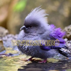 Digital Image Picture Photo Wallpaper Background Desktop Art And Phone Desktop