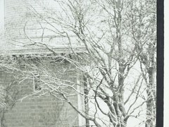 Black And White Photograph Titled «Harkness» Signed W. Abrams